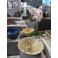 suite Foire de Paris 2014